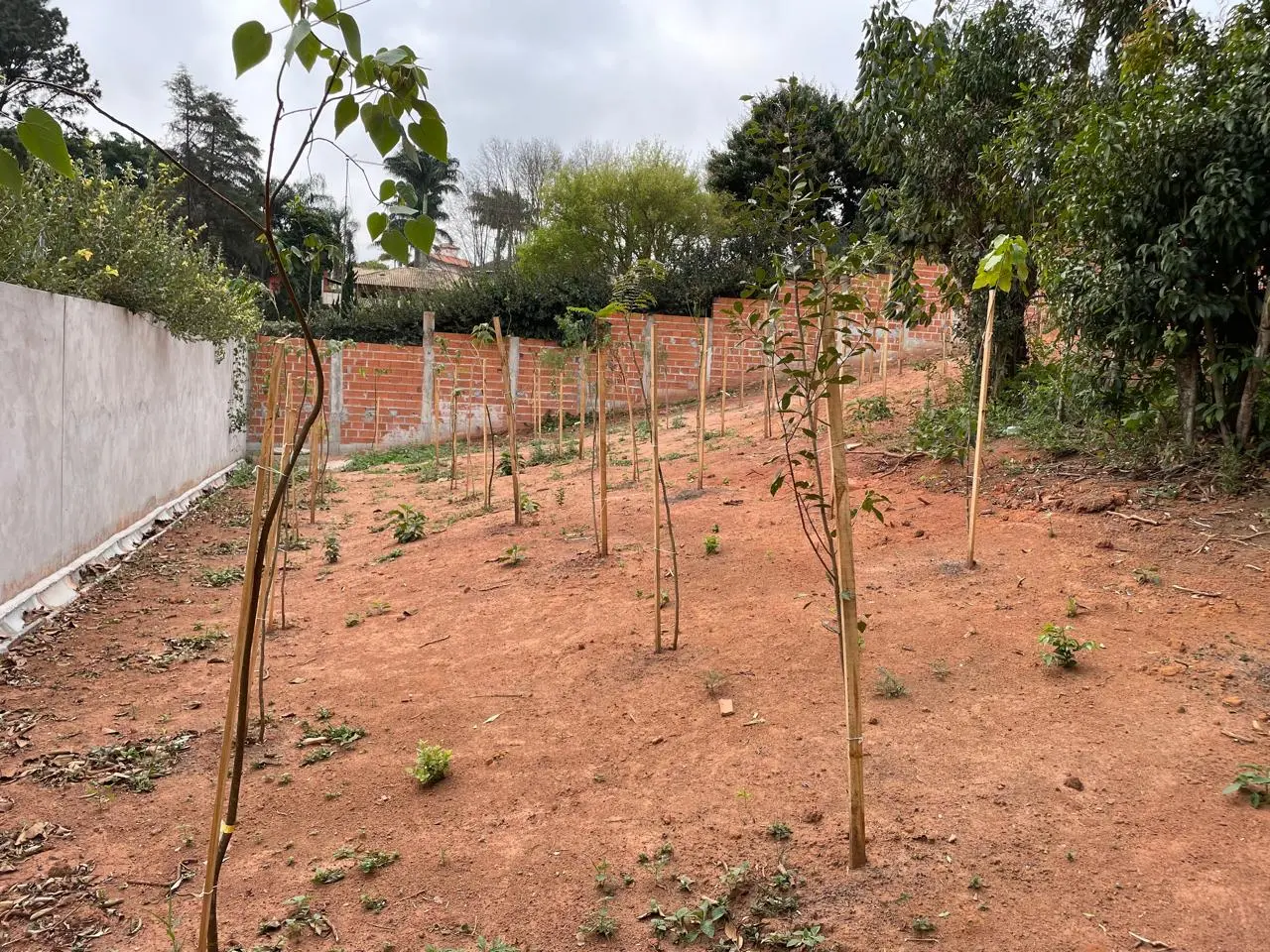 Andamento da obra